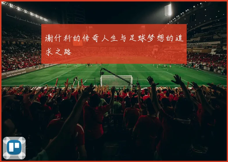 谢什科的传奇人生与足球梦想的追求之路