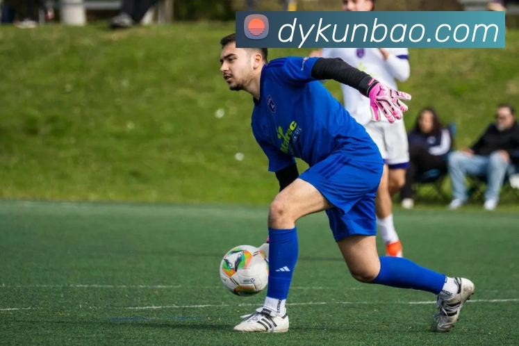 多媒体互动体验